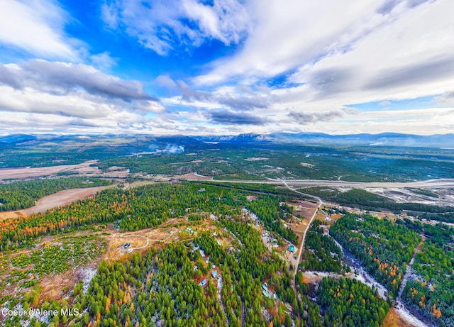 birds eye view of property with a mountain view