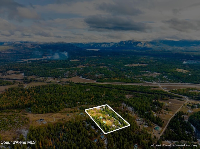 drone / aerial view featuring a mountain view