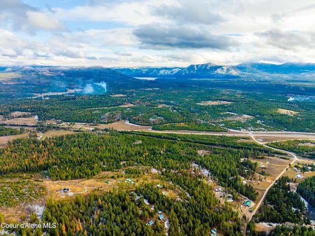 birds eye view of property featuring a mountain view