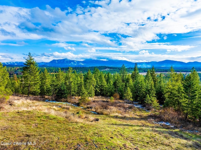 view of mountain feature featuring a forest view
