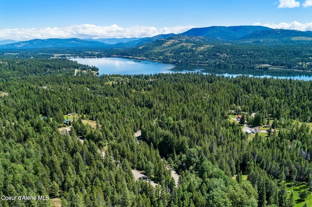 306 Pinewood Ln, Cocolalla, ID 83813
