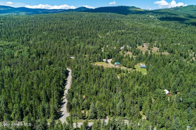 306 Pinewood Ln, Cocolalla, ID 83813
