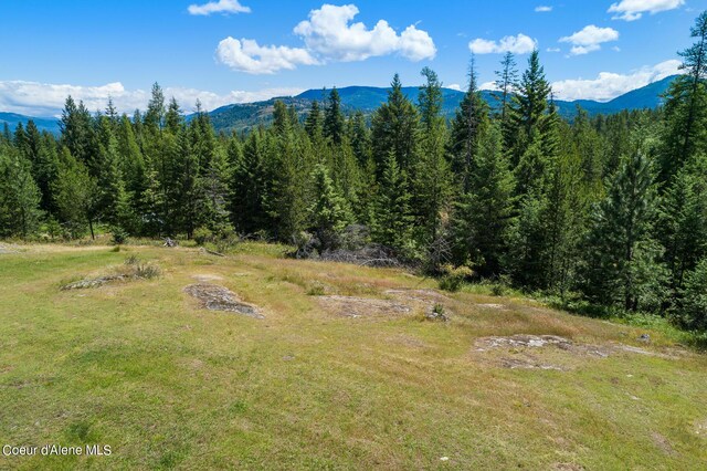 306 Pinewood Ln, Cocolalla, ID 83813