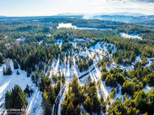 aerial view with a mountain view and a forest view