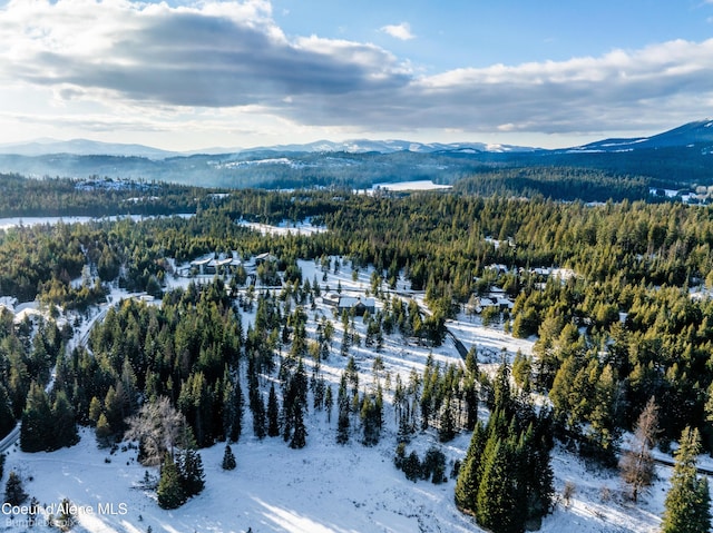 snowy aerial view with a mountain view and a view of trees