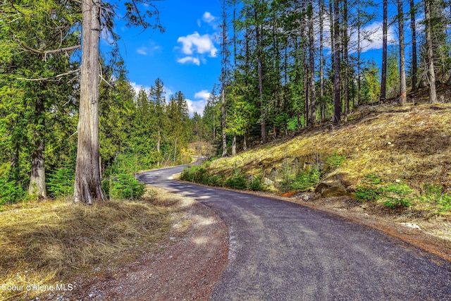 NNAC18 White Cloud Dr, Sandpoint, ID 83864