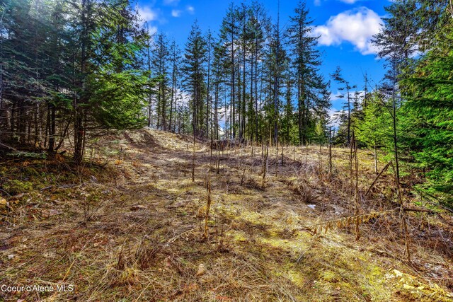 NNAC18 White Cloud Dr, Sandpoint, ID 83864