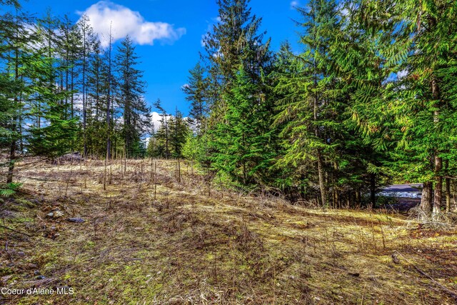 NNAC18 White Cloud Dr, Sandpoint, ID 83864
