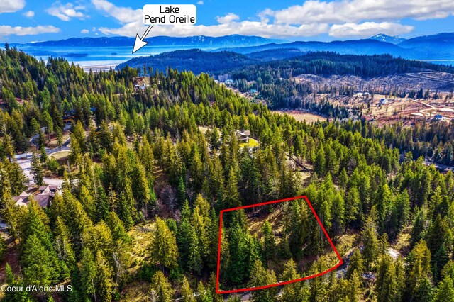 NNAC18 White Cloud Dr, Sandpoint, ID 83864