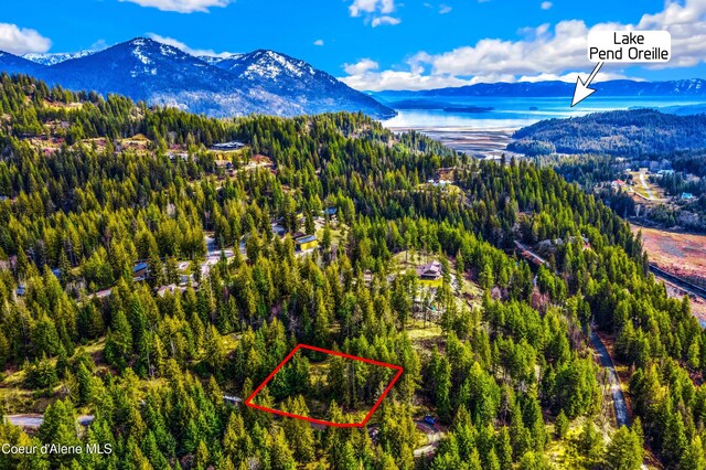 NNAC18 White Cloud Dr, Sandpoint, ID 83864