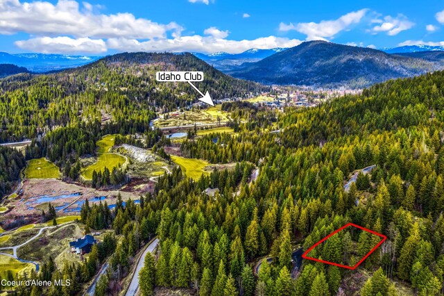 NNAC18 White Cloud Dr, Sandpoint, ID 83864