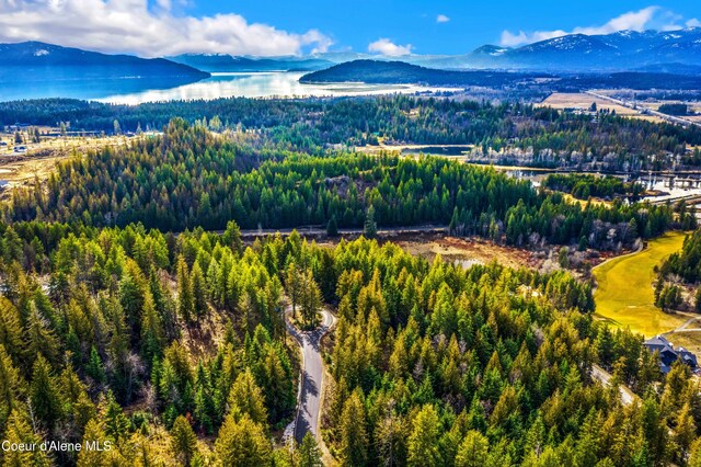 NNAC18 White Cloud Dr, Sandpoint, ID 83864