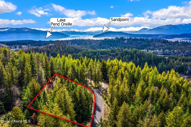 NNAC18 White Cloud Dr, Sandpoint, ID 83864