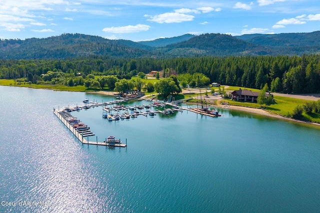 LOT4BLK1 Sawyer Ave, Priest River, ID 83856