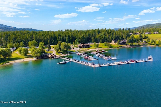 LOT4BLK1 Sawyer Ave, Priest River, ID 83856