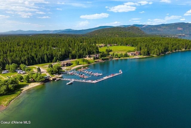 LOT4BLK1 Sawyer Ave, Priest River, ID 83856