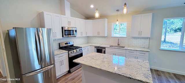 kitchen with appliances with stainless steel finishes, a wealth of natural light, a sink, and light wood finished floors