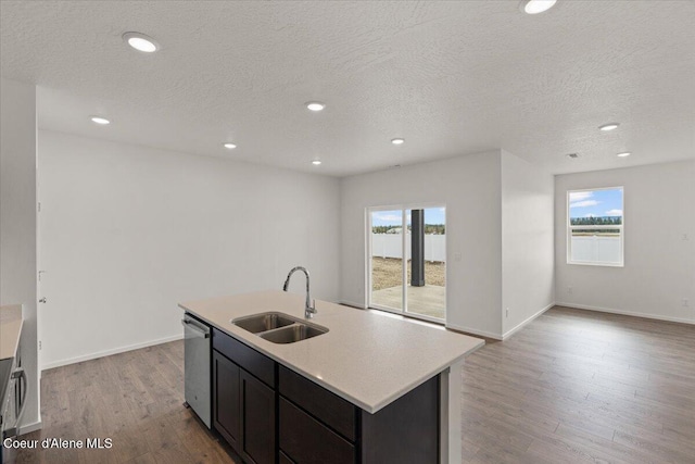 kitchen featuring a sink, stainless steel dishwasher, plenty of natural light, and light wood-style floors