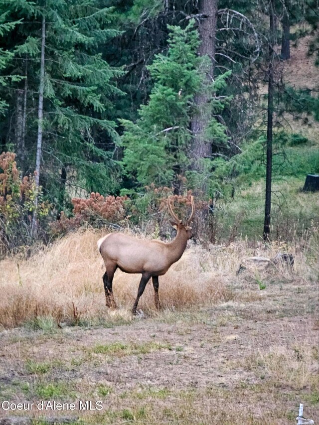 NKA High Chaparral Rd, Coeur Dalene, ID 83814