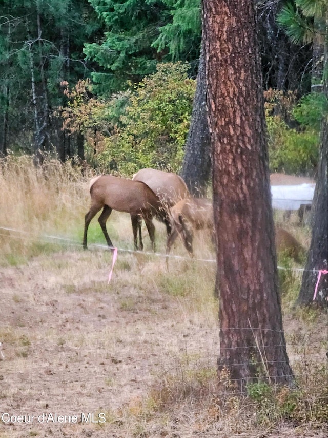NKA High Chaparral Rd, Coeur Dalene, ID 83814