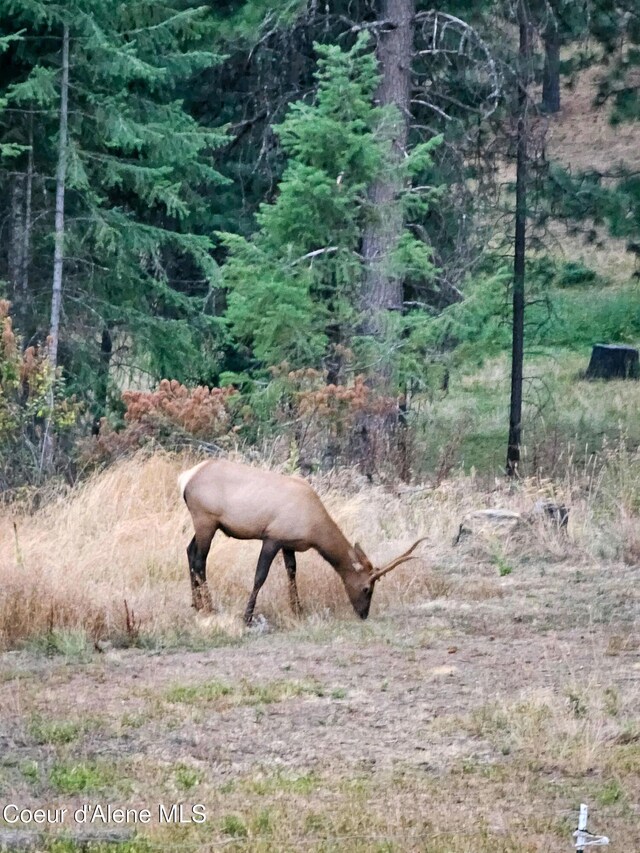 NKA High Chaparral Rd, Coeur Dalene, ID 83814
