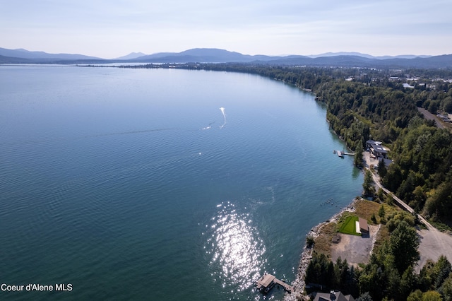 193 Ponder Point Ln, West Lot, Sandpoint, ID 83864 - photo 30