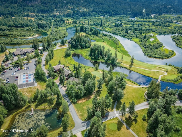 193 Ponder Point Ln, West Lot, Sandpoint, ID 83864 - photo 42