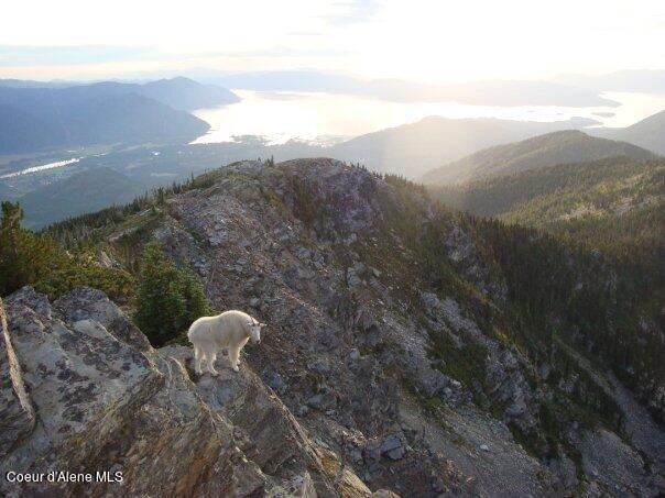193 Ponder Point Ln, West Lot, Sandpoint, ID 83864 - photo 48