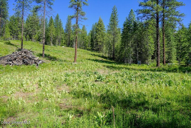 NKA Meadowland Dr, Blanchard, ID 83804