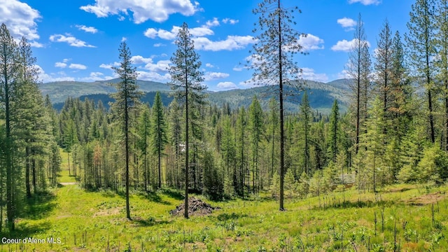 NKA Meadowland Dr, Blanchard, ID 83804