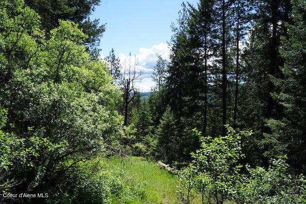 NKA Meadowland Dr, Blanchard, ID 83804