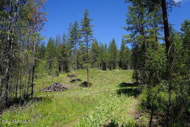 NKA Meadowland Dr, Blanchard, ID 83804