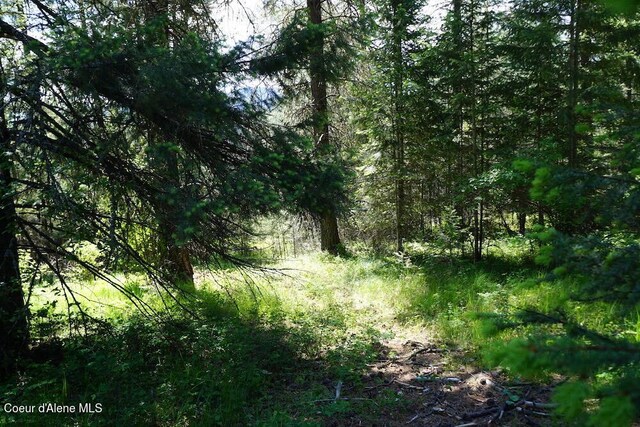 NKA Meadowland Dr, Blanchard, ID 83804