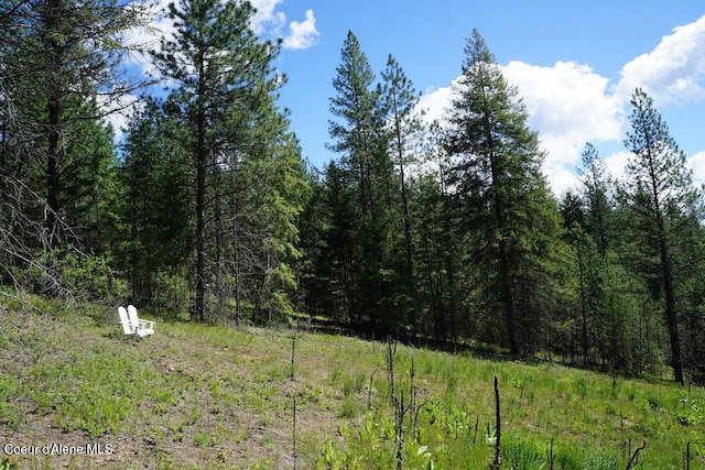 NKA Meadowland Dr, Blanchard, ID 83804