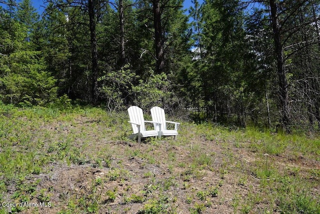 NKA Meadowland Dr, Blanchard, ID 83804