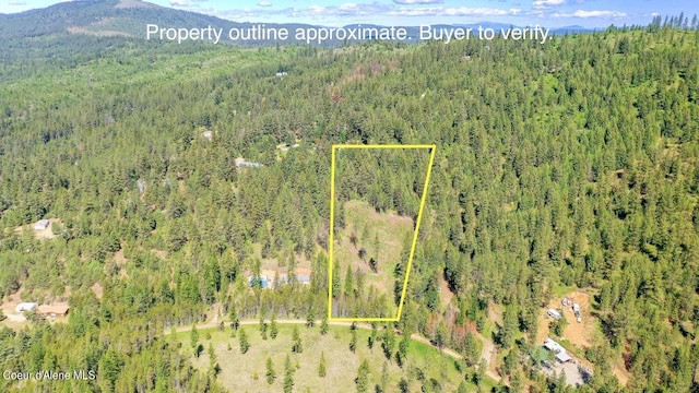 NKA Meadowland Dr, Blanchard, ID 83804