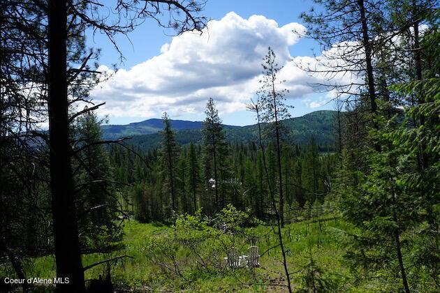 NKA Meadowland Dr, Blanchard, ID 83804