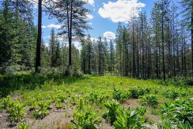 NKA Meadowland Dr, Blanchard, ID 83804