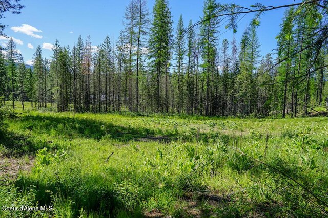NKA Meadowland Dr, Blanchard, ID 83804