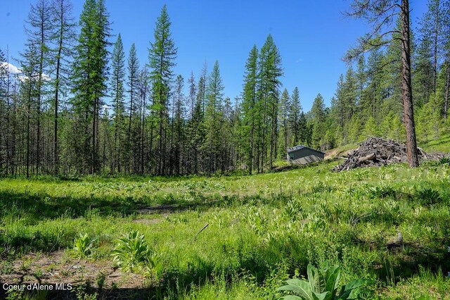 NKA Meadowland Dr, Blanchard, ID 83804