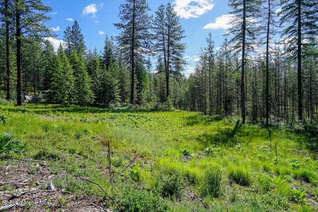NKA Meadowland Dr, Blanchard, ID 83804