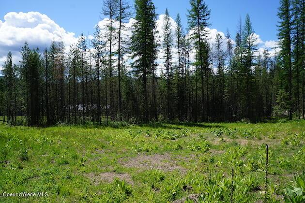 NKA Meadowland Dr, Blanchard, ID 83804