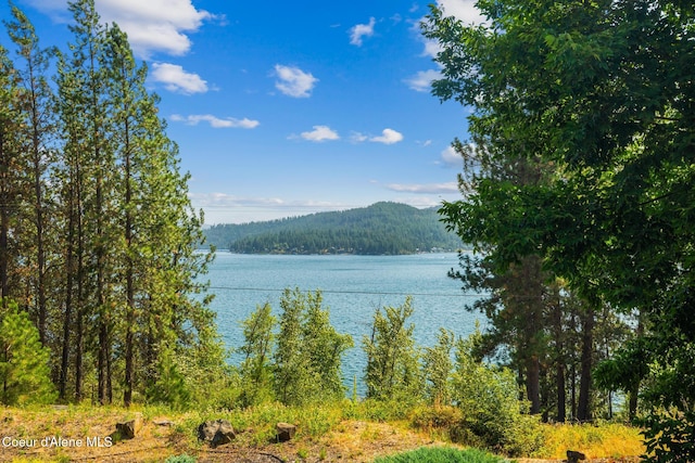 4459 E Ogara Rd, Harrison, ID 83833 - view of water feature featuring a mountain view and a view of trees