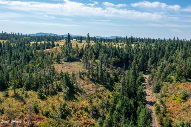 NNA E Bell Canyon Rd, Harrison, ID 83833