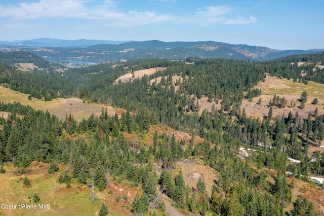 NNA E Bell Canyon Rd, Harrison, ID 83833