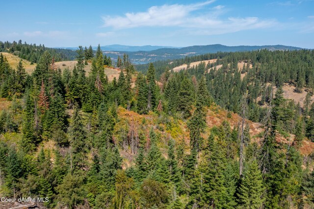 NNA E Bell Canyon Rd, Harrison, ID 83833