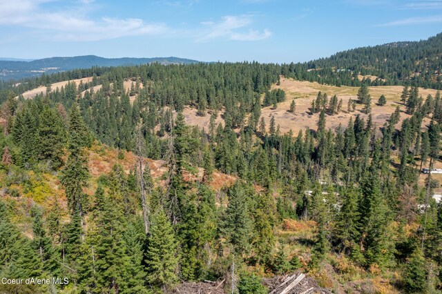 NNA E Bell Canyon Rd, Harrison, ID 83833