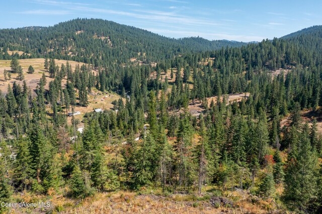 NNA E Bell Canyon Rd, Harrison, ID 83833