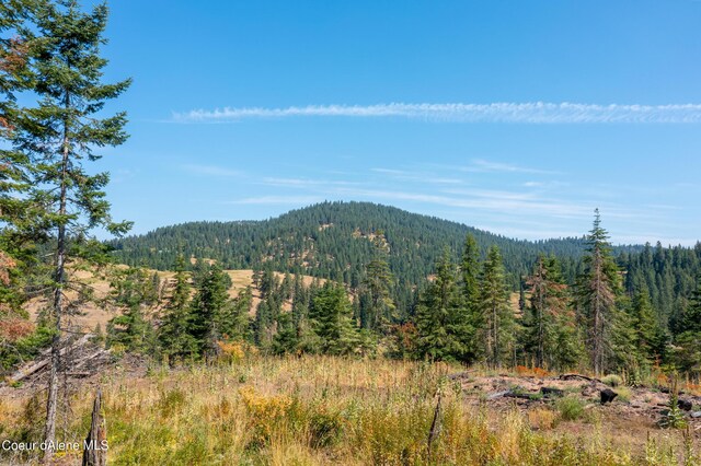 NNA E Bell Canyon Rd, Harrison, ID 83833