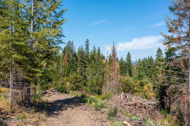 NNA E Bell Canyon Rd, Harrison, ID 83833